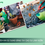 Tại sao găng tay cao su làm vườn ngày càng được ưa chuộng?