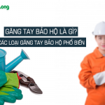 Găng tay bảo hộ là gì? Các loại găng tay bảo hộ phổ biến