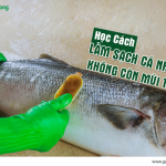 Học cách làm sạch cá nhanh, không lo mùi tanh đảm bảo an toàn