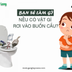 Bạn sẽ làm gì nếu có vật gì rơi vào bồn cầu?