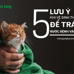 5 lưu ý khi vệ sinh thú cưng để tránh rước bệnh vào người