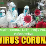 Vi rút Corona là gì? 7 biện pháp phòng tránh vi rút Corona
