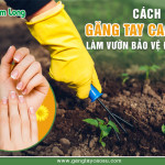 6 yêu cầu cần có của một đôi găng tay cao su làm vườn chuẩn
