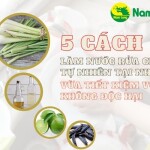 5 cách làm nước rửa chén tự nhiên tại nhà vừa tiết kiệm mà không độc hại