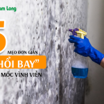 Không gian sống sạch đẹp chỉ với 5 mẹo thổi bay nấm mốc đơn giản
