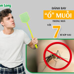 Đánh bay “ổ” muỗi trong nhà với 7 bí kíp sau