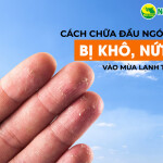 Cách chữa đầu ngón tay bị khô nứt nẻ vào mùa lạnh tại nhà