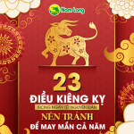 Những điều kiêng kỵ trong ngày Tết Nguyên Đán, đầy đủ và chi tiết nhất nên tránh để may mắn cả năm