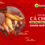 Cách chọn cá chép cúng ông Công ông Táo chuẩn nhất 2021