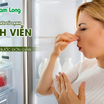 Cách khử mùi hôi tủ lạnh vĩnh viễn với 3 bước đơn giản