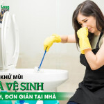 Cách khử mùi nhà vệ sinh nhanh, đơn giản tại nhà