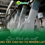 Quy trình sản xuất găng tay cao su tự nhiên latex