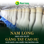 Nam Long – Nhà sản xuất găng tay cao su xuất khẩu cho nhiều thị trường lớn