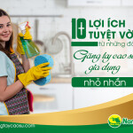 10+ lợi ích tuyệt vời từ những đôi găng tay cao su gia dụng nhỏ nhắn