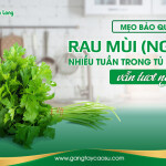 Mẹo bảo quản rau mùi (ngò) nhiều tuần trong tủ lạnh vẫn tươi ngon