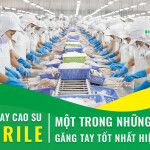 Găng tay cao su Nitrile – Một trong những loại găng tay tốt nhất hiện nay