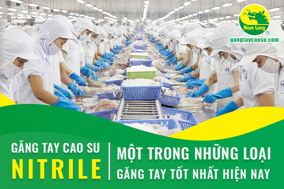 Găng tay cao su Nitrile - Một trong những loại găng tay tốt nhất hiện nay