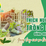 Thích nuôi cá trồng rau, đừng quên mua găng tay cao su làm vườn
