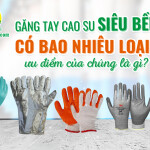 Găng tay cao su siêu bền có bao nhiêu loại? Ưu điểm của chúng là gì?