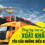 Găng tay cao su xuất khẩu yêu cầu những điều kiện gì?