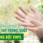 Những điều cần biết về găng tay trong suốt không bột Vinyl