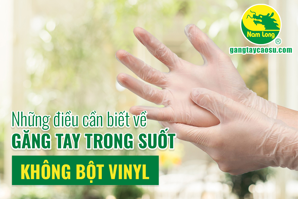 Những điều cần biết về găng tay trong suốt không bột Vinyl
