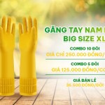 Giá găng tay cao su của Nam Long hiện nay được bán như thế nào?