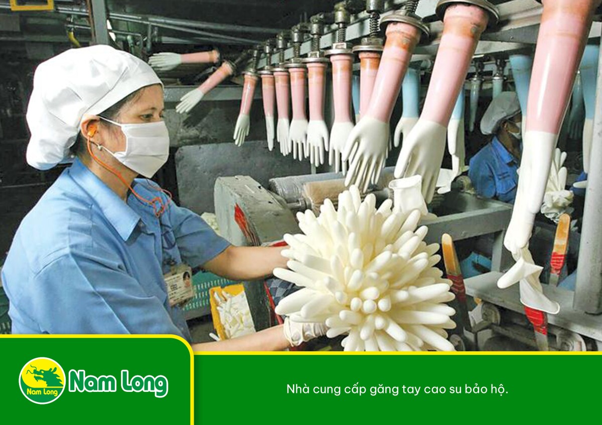 Nha cung cap gang tay cao su bao ho