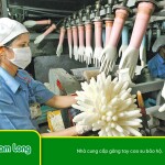 Nhà cung cấp găng tay cao su bảo hộ