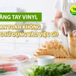 Găng tay Vinyl có an toàn không và thường sử dụng vào việc gì