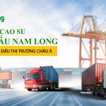 Găng tay cao su xuất khẩu Nam Long hướng đến top đầu Châu Á