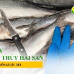 Mua găng tay chế biến thủy hải sản cần xét 3 yều tố này