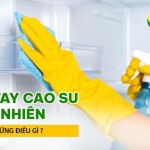 Găng tay cao su tự nhiên sợ những điều gì?