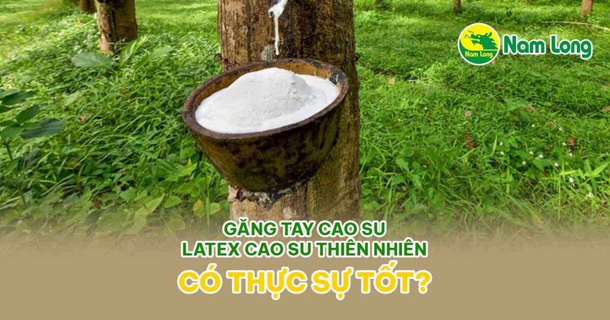 gang tay cao su latex cao su thien nhien