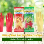 Mua găng tay Hướng Dương ở đâu để có giá tốt nhất?