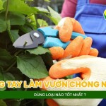 Găng tay làm vườn chống nước dùng loại nào tốt nhất?