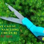 Găng tay cao su làm vườn Nam Long giúp bạn chuẩn bị đón Tết 2023