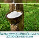 Găng tay cao su thiên nhiên Nam Long – Hiểu về găng tay cao su