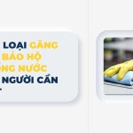 Các loại găng tay bảo hộ chống nước mọi người cần biết