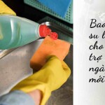Bao tay cao su làm bếp cho bà nội trợ hàng ngày có gì mới?