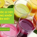 Uống nước gì tốt cho xương khớp chị em nên biết
