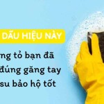 Có 5 dấu hiệu này chứng tỏ bạn đã mua đúng găng tay cao su bảo hộ tốt