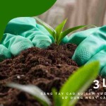 3 lý do để Găng tay cao su làm vườn Nam Long sử dụng phổ biến