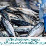 3 yếu tố cực quan trọng để chọn găng tay cao su chế biến thực phẩm